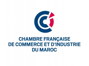 Essai logo CFCIM vertical