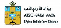 Logo Région Dakhla