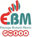 Logo EBM FINAL